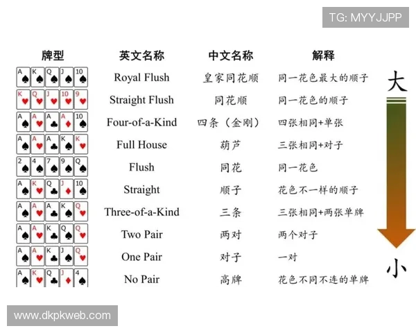 九游PAP德州新手入门教程，从零开始轻松掌握德州扑克技巧